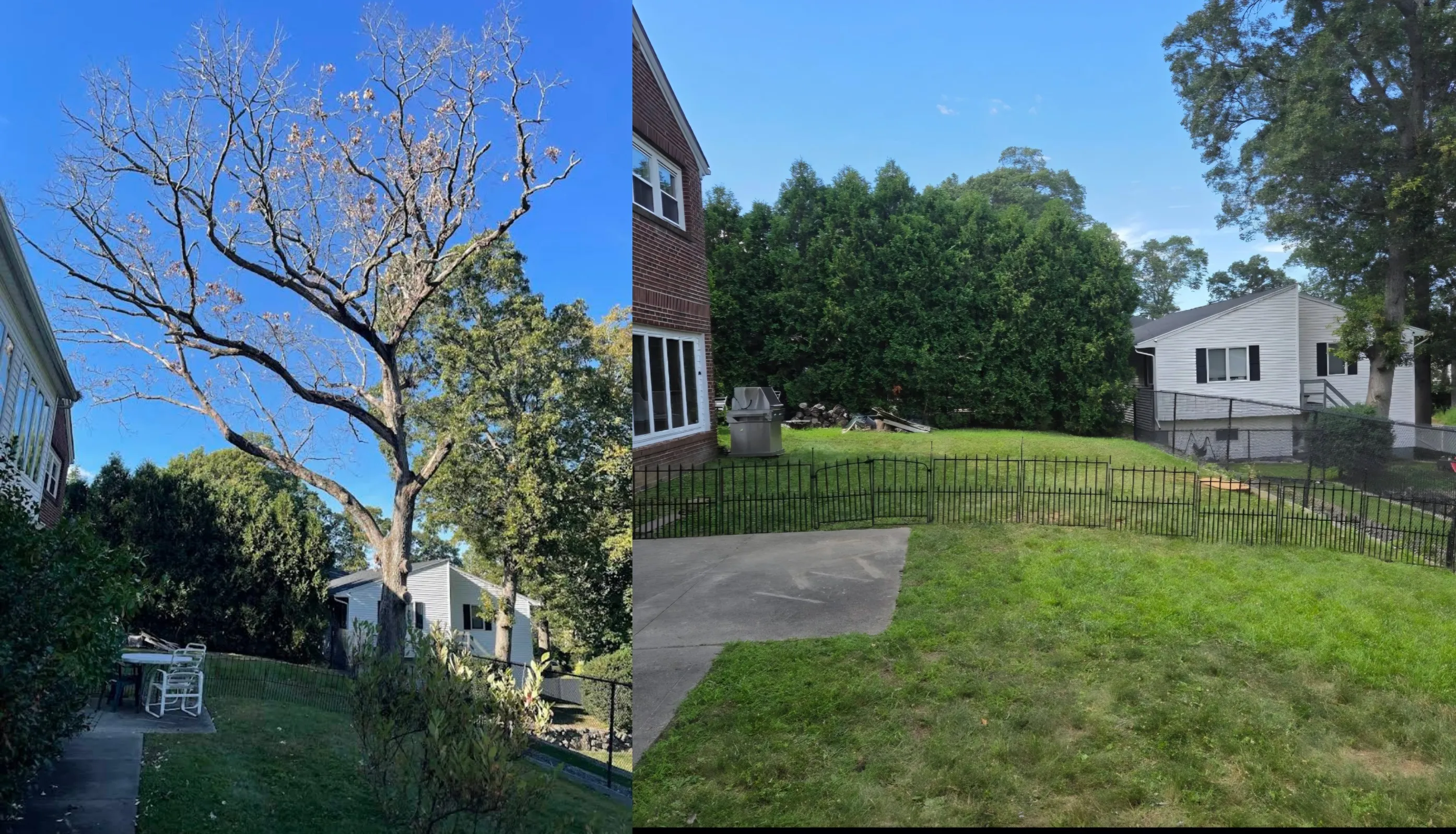 Landscape Transformation