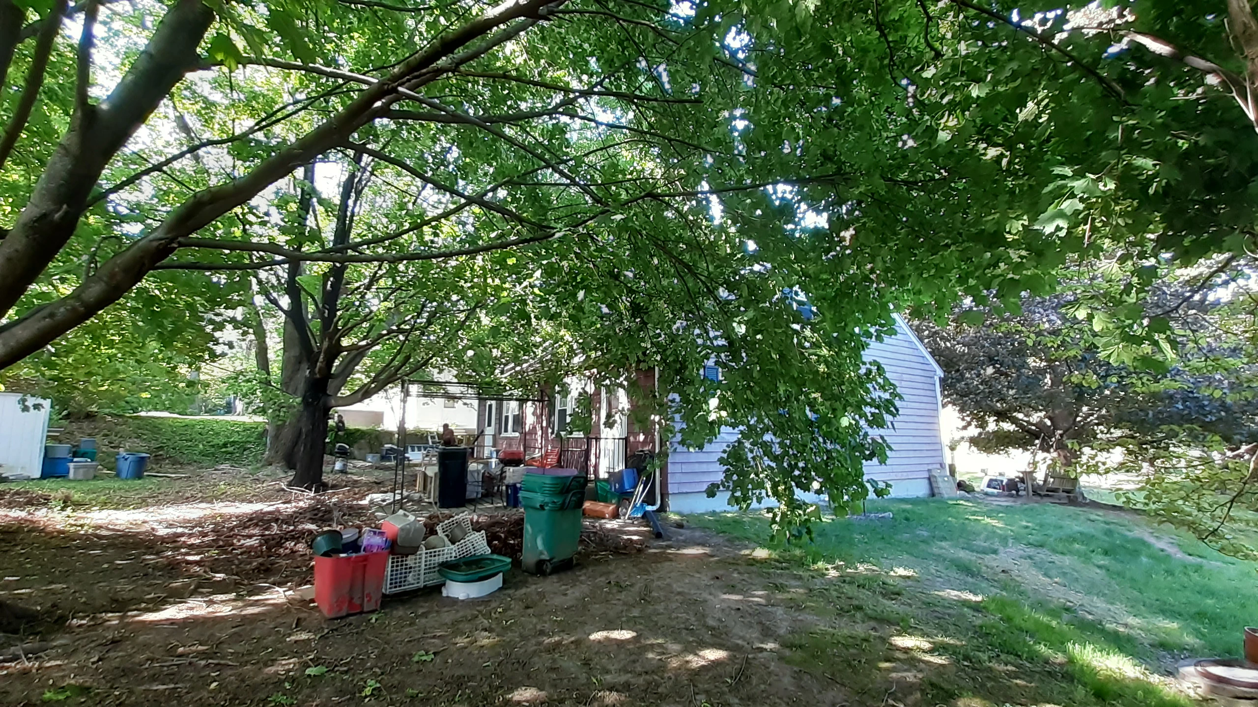 Backyard Transformation - Before