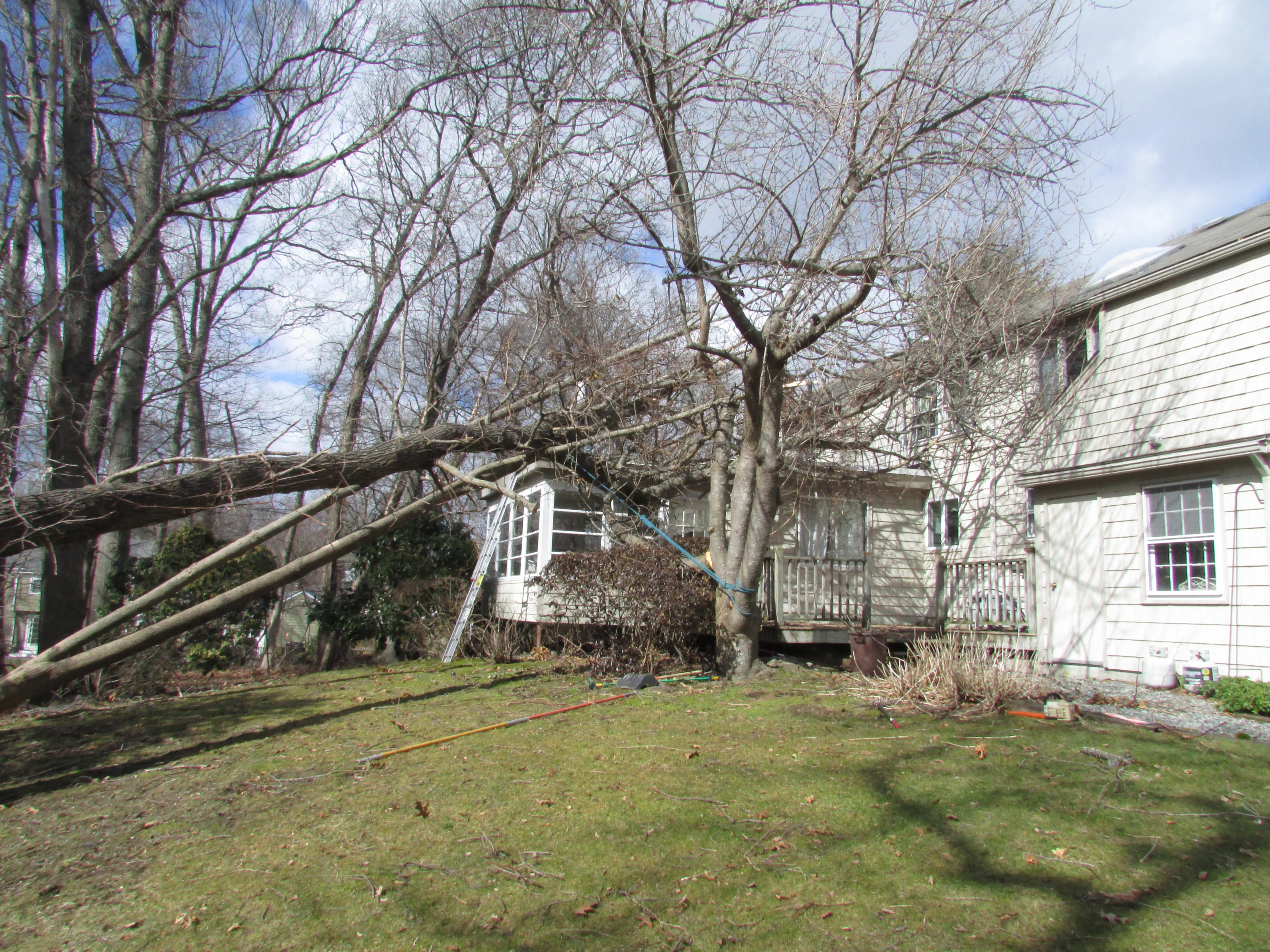 Emergency Storm Cleanup - Before